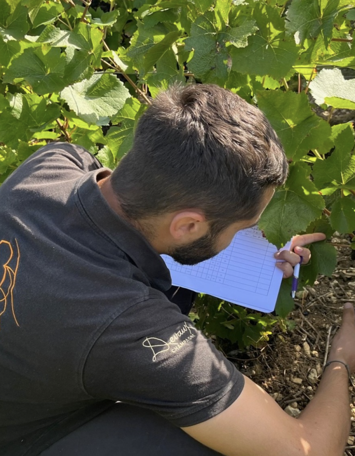 Equipe œnologique Maison Devaux