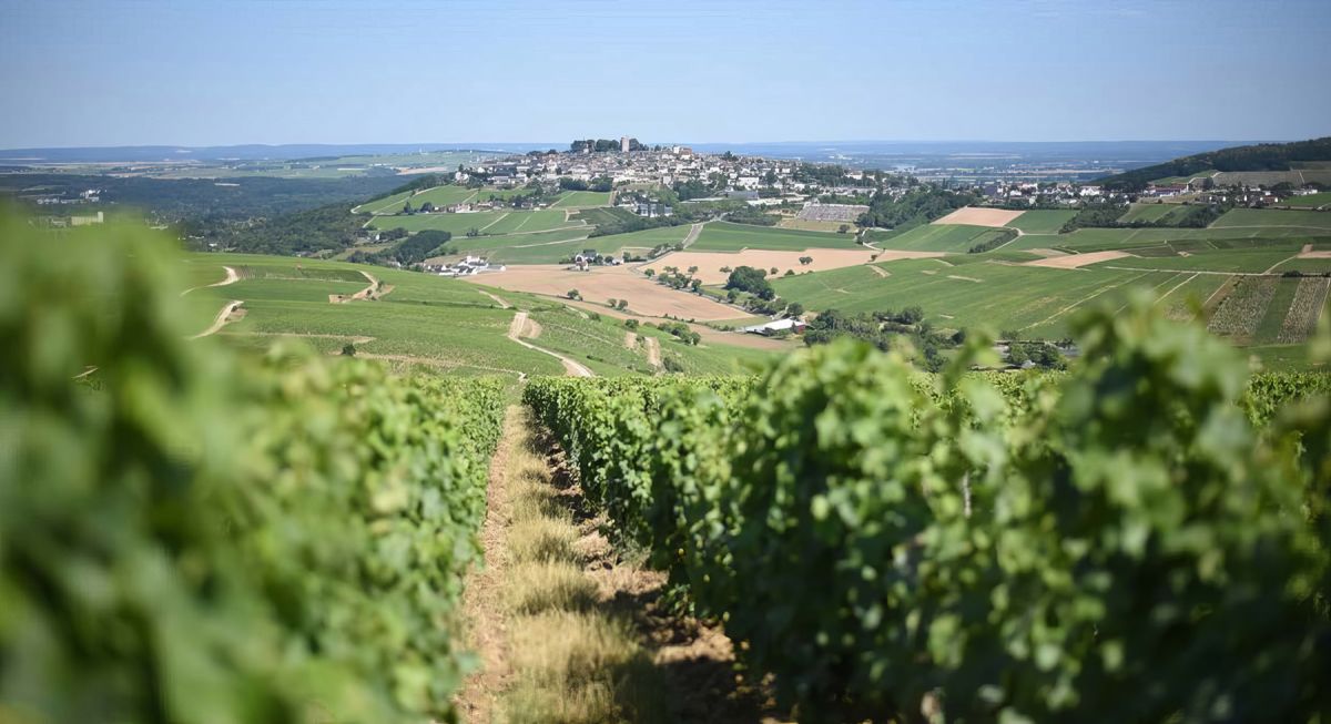 Joost et Miguela de Willebois