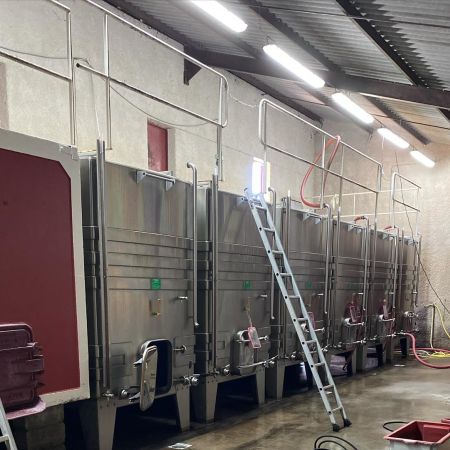 Nelly Tachon : la vigne pour héritage