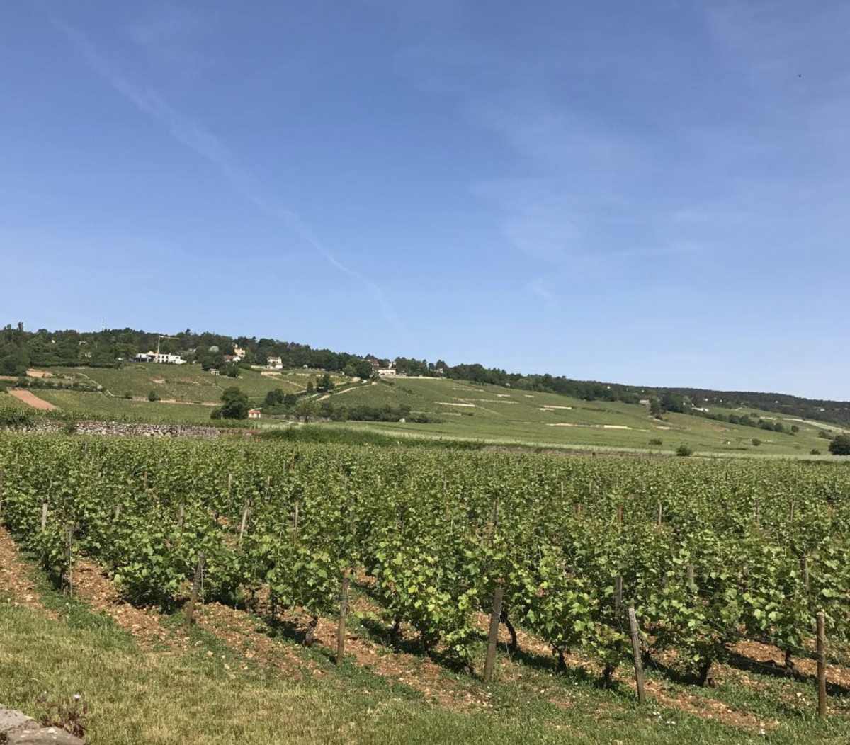 Maison Remoissenet Père et Fils