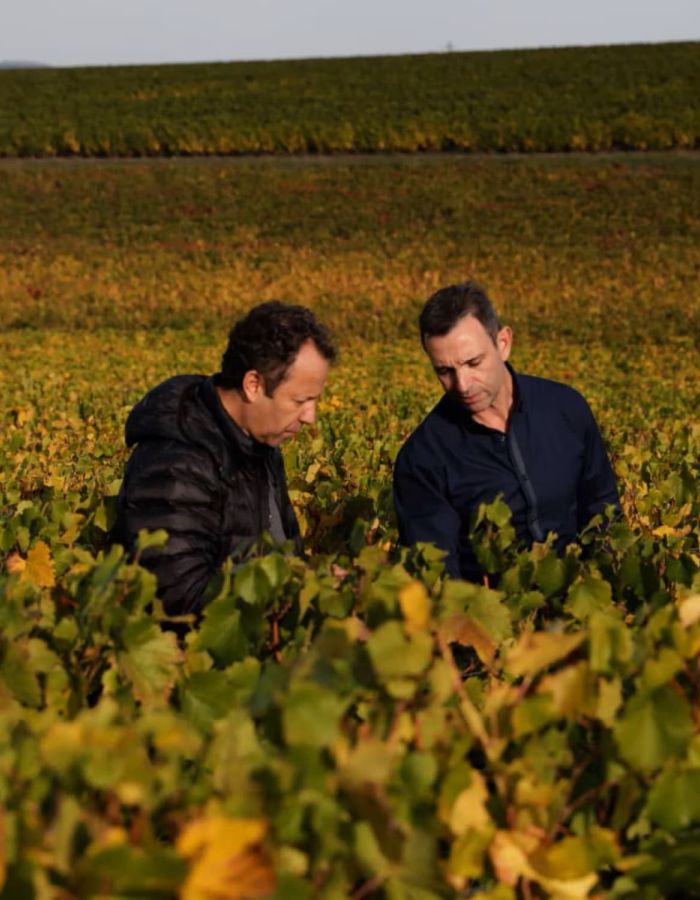 Equipe œnologique Maison Ruinart