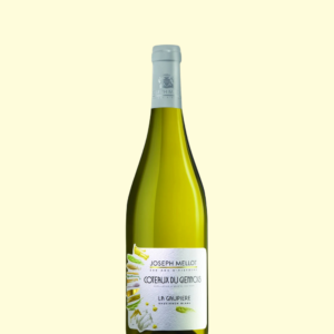 AOC Coteaux du Giennois - La Gaupière 2022