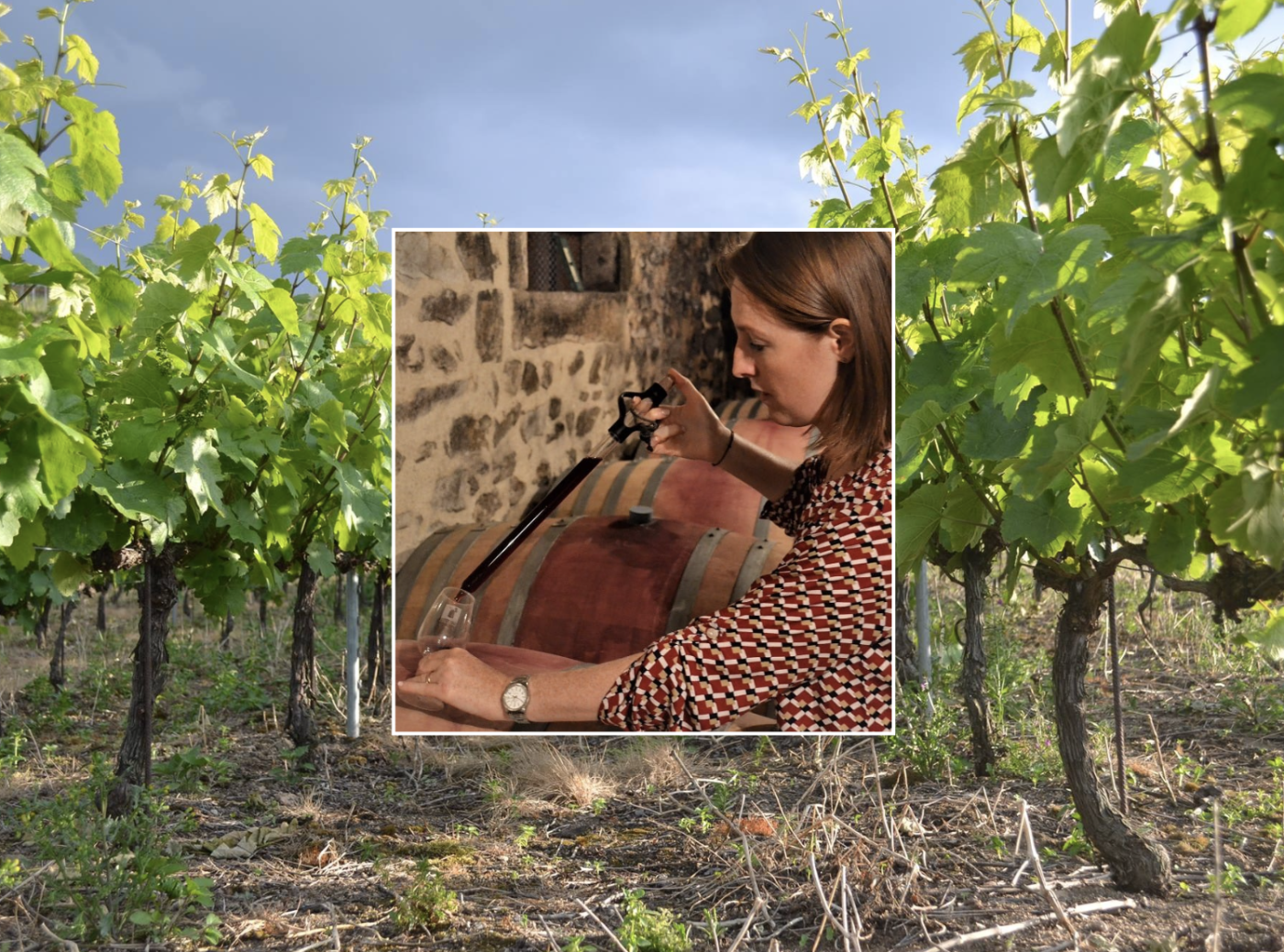 Héloïse Lartigue, construire un domaine dans le temps long