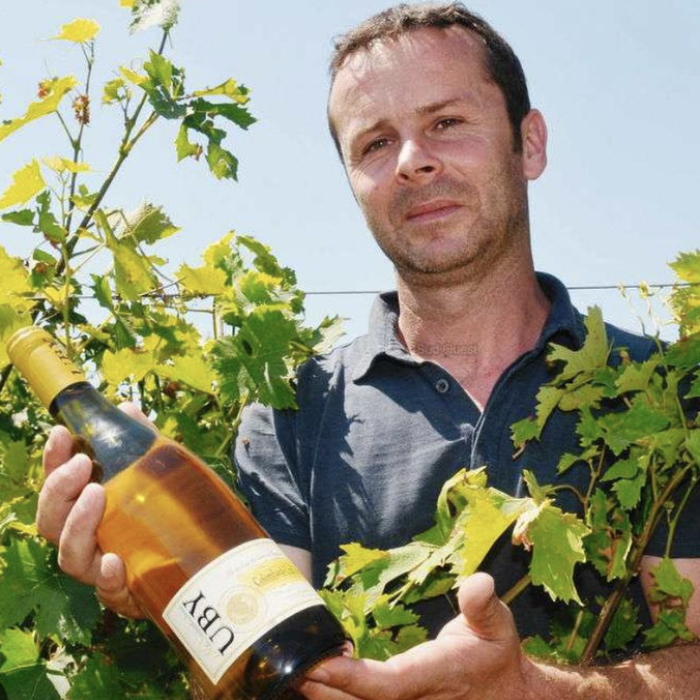 img producteur vin