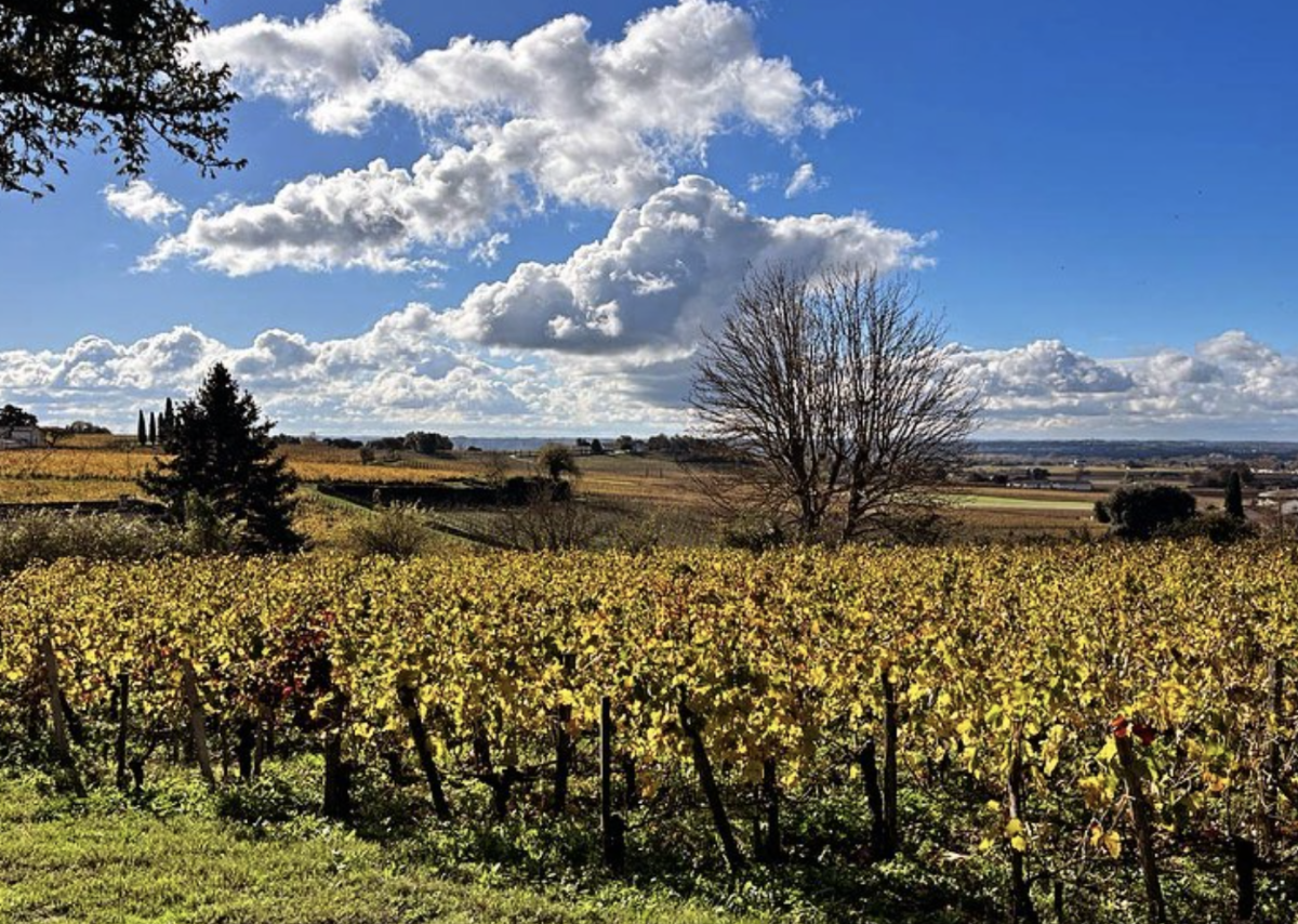 François et Véronique Janoueix
