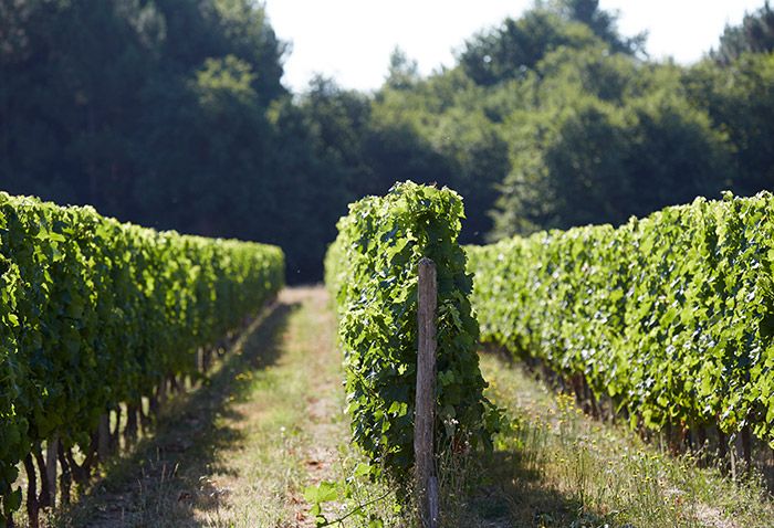 Christian et Joëlle de Subercasaux
