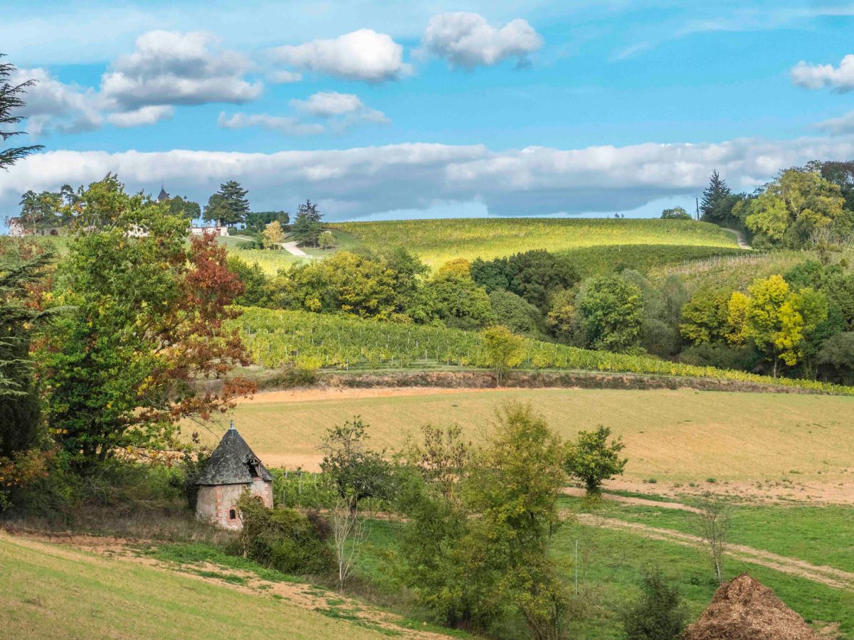 Château Bellerive