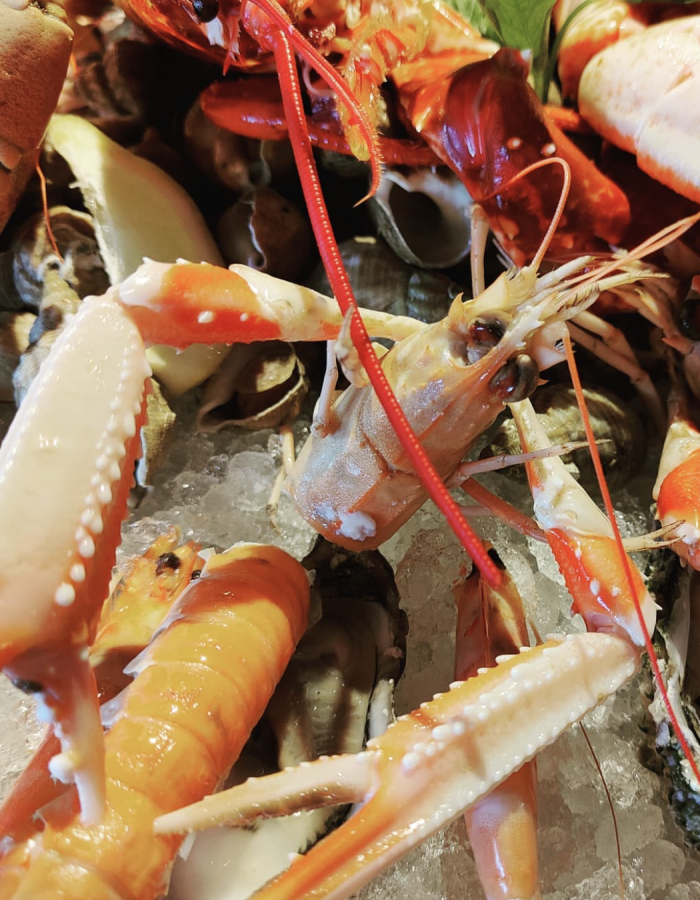 illustration mets et vins