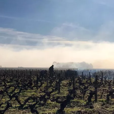 Accord vin & met – Montlouis-sur-Loire – À la Source – 2022 – Domaine Moyer
