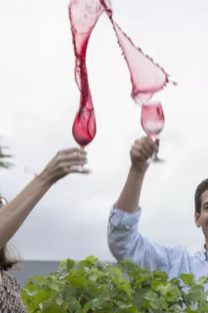 Anne et Pierre-Alexandre Clément