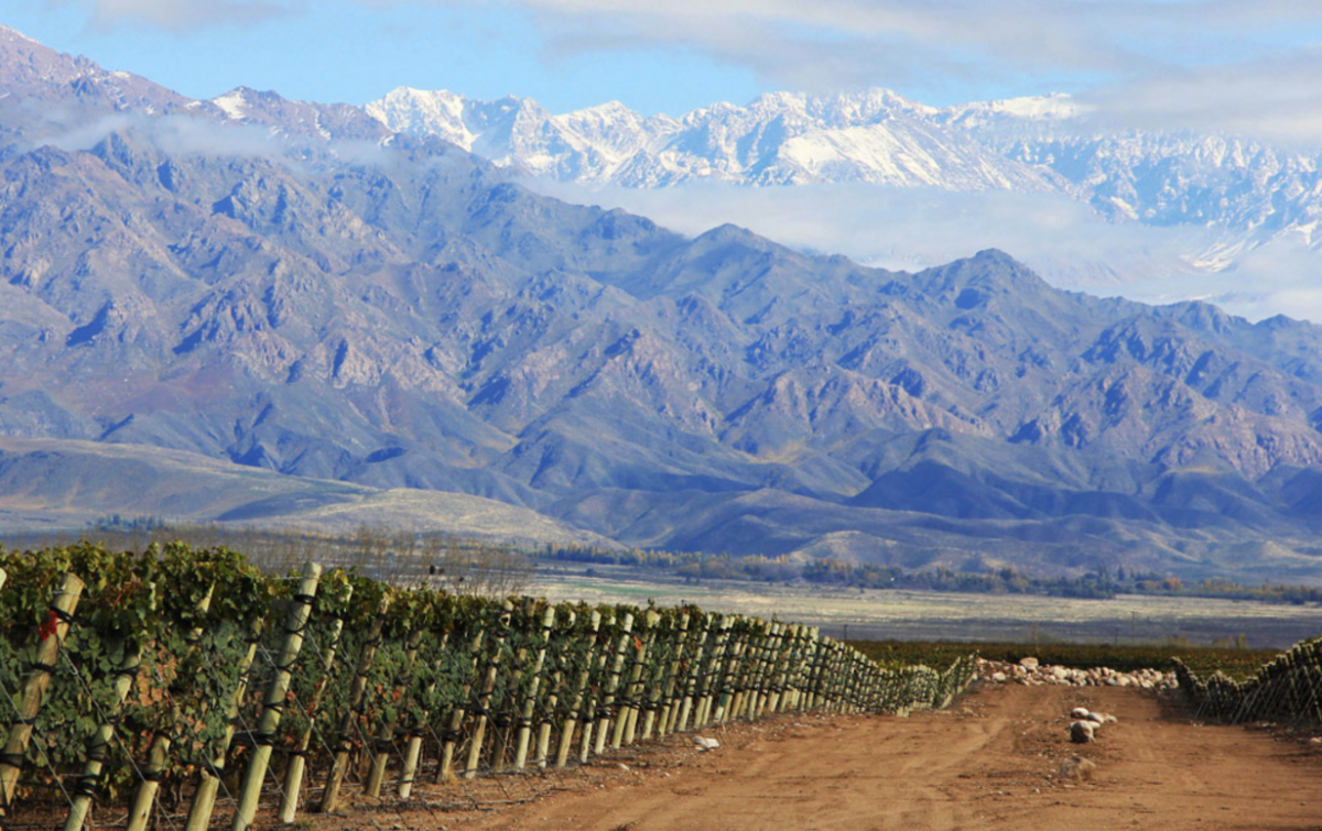 Sebastián Zuccardi