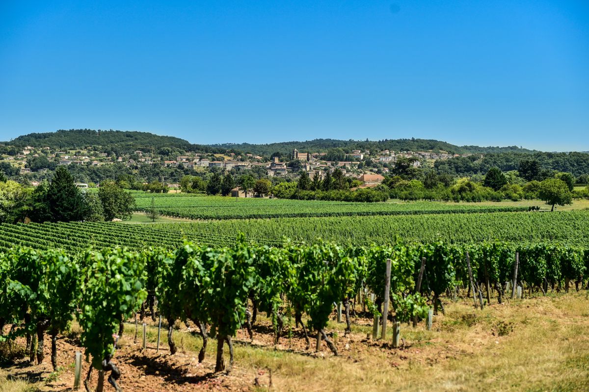 Famille Baldès