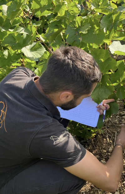 Equipe œnologique Maison Devaux