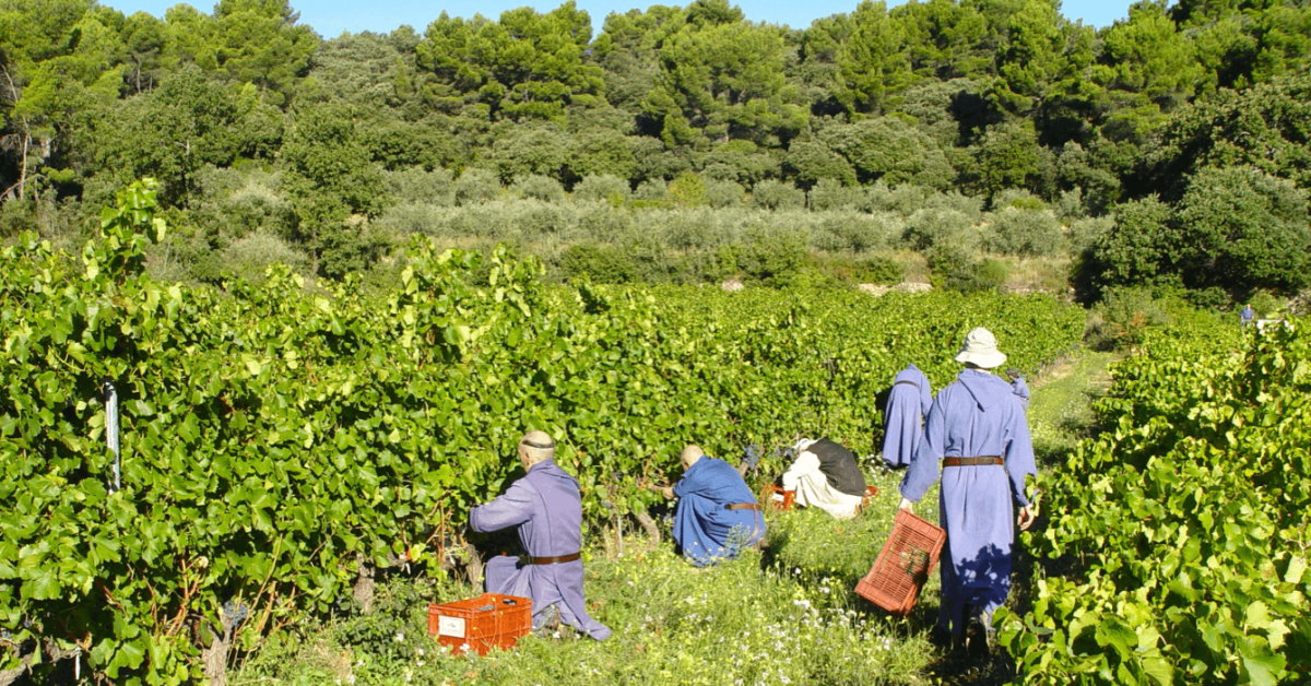 Moines de l’Abbaye du Barroux