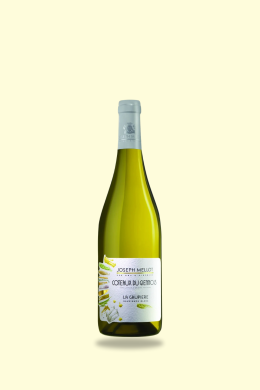 AOC Coteaux du Giennois – La Gaupière 2022