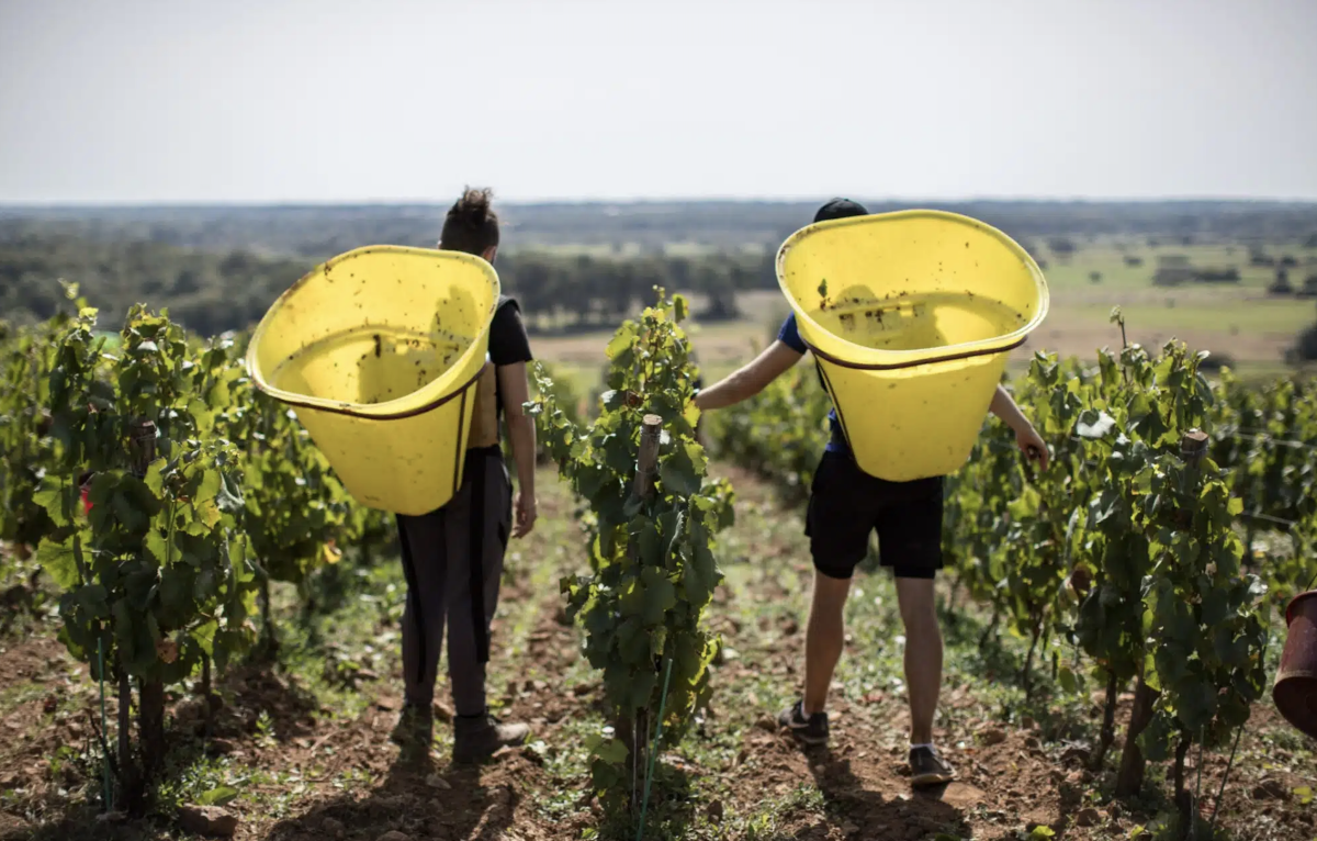 Marie et Pierre-Marie Luneau
