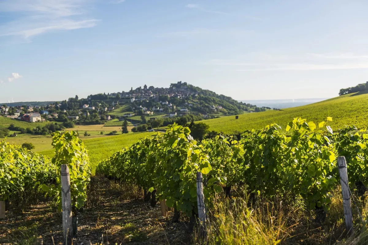 Catherine Corbeau-Mellot