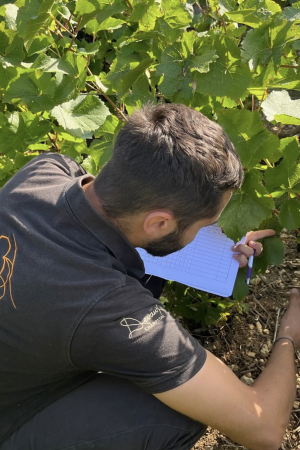 Equipe œnologique Maison Devaux