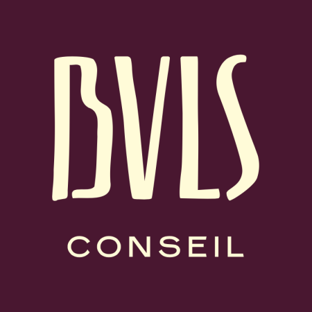 BVLS Conseil à l’école de Savignac