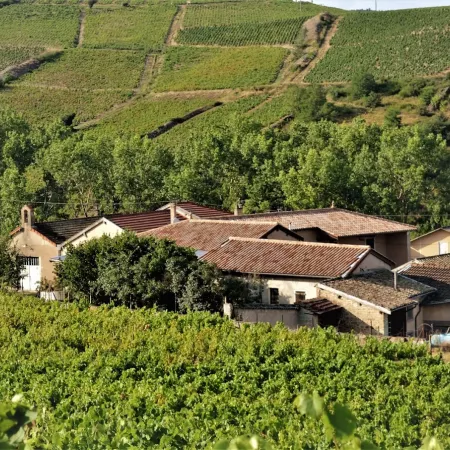 Héloïse Lartigue, construire un domaine dans le temps long