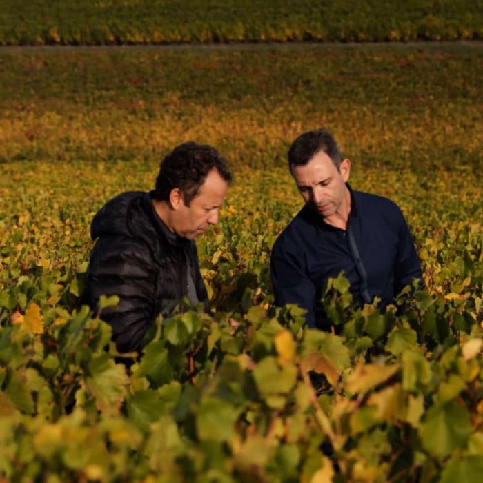 img producteur vin