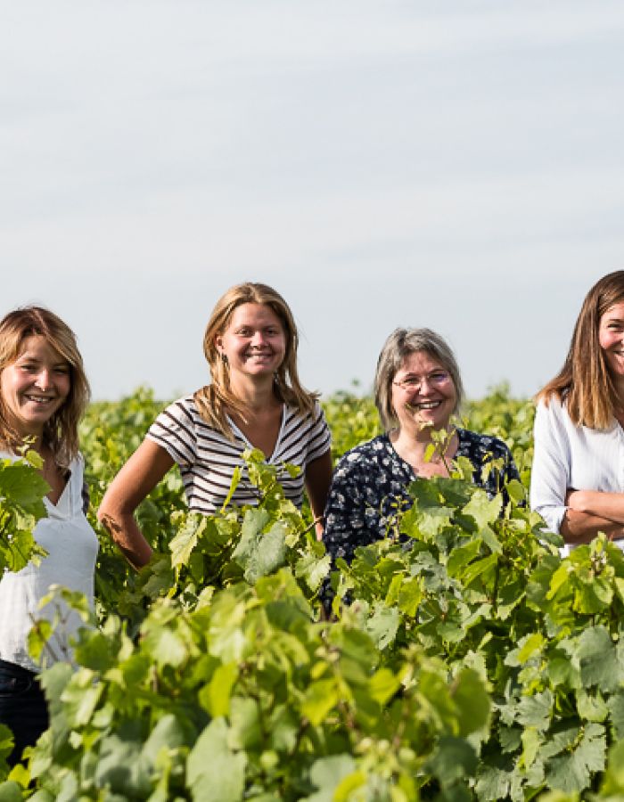 Famille Vilain