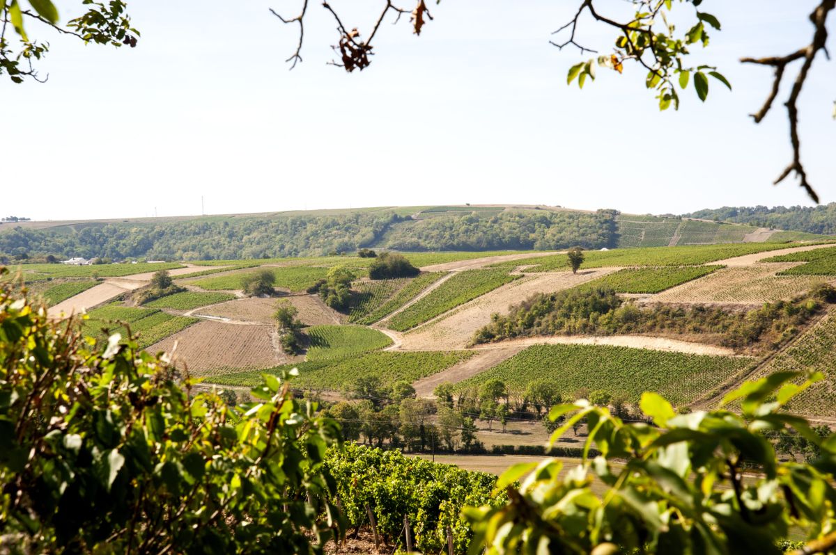 Anne et Pierre-Alexandre Clément