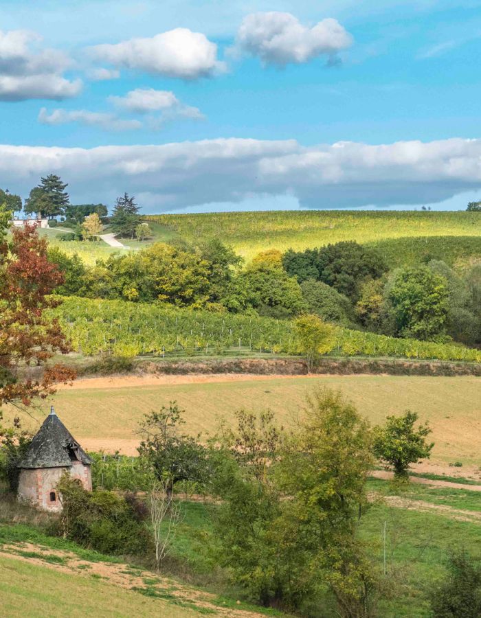 Château Bellerive