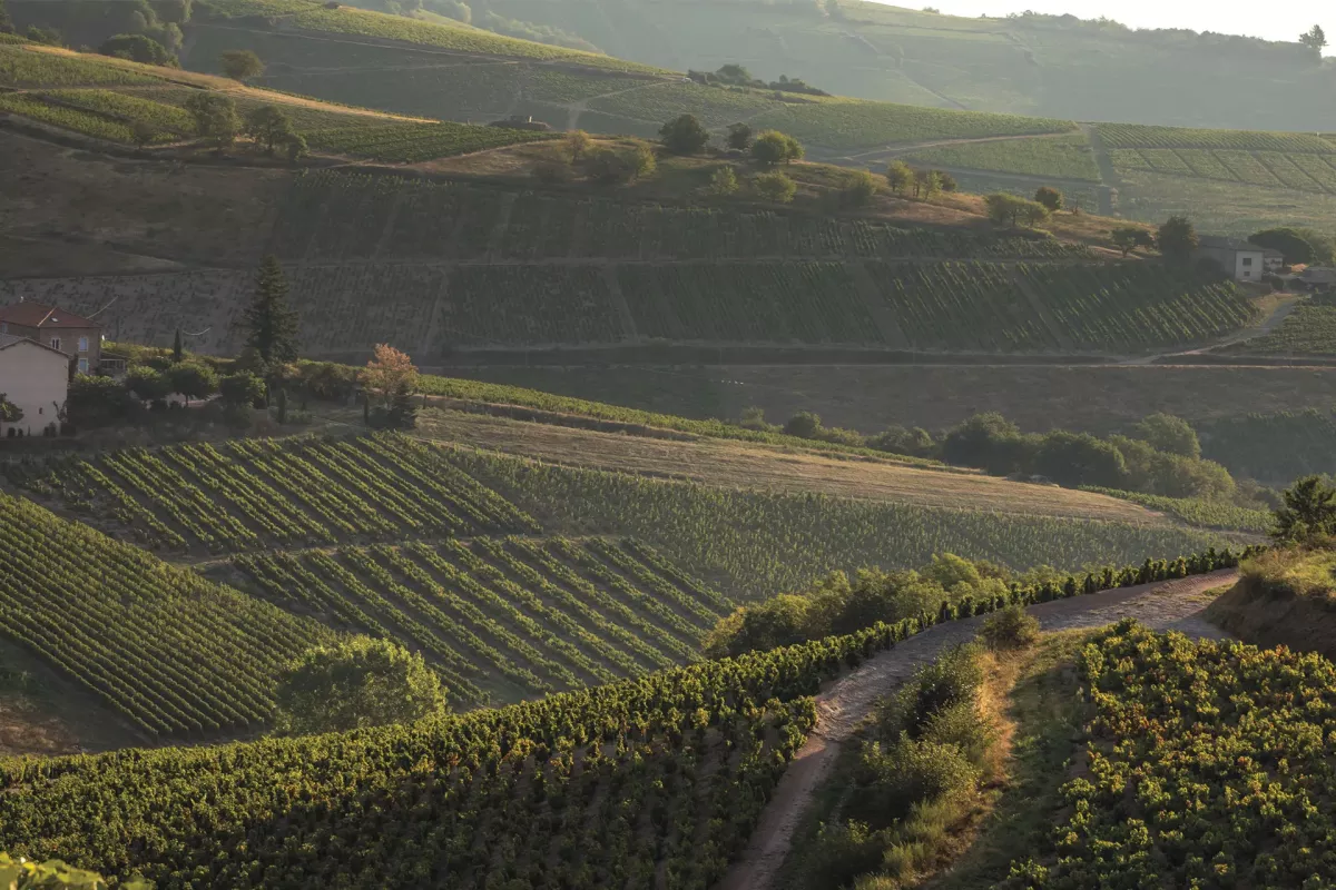 Jacques et Christophe Lanson