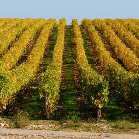 Accord vin & met – Montlouis-sur-Loire – À la Source – 2022 – Domaine Moyer