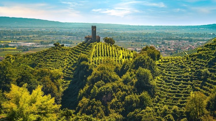 Cantina Edoardo Rota