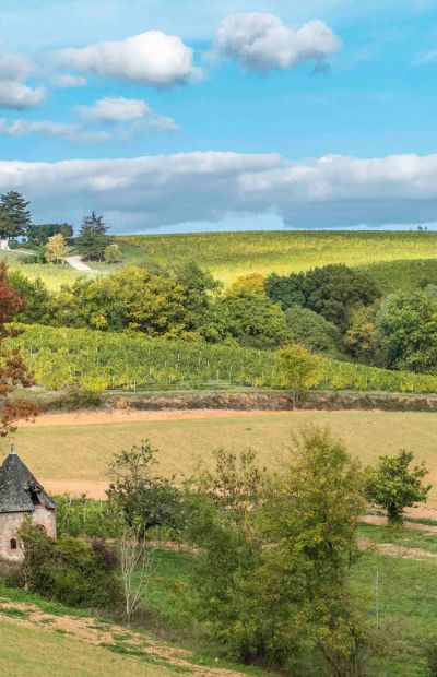 Château Bellerive